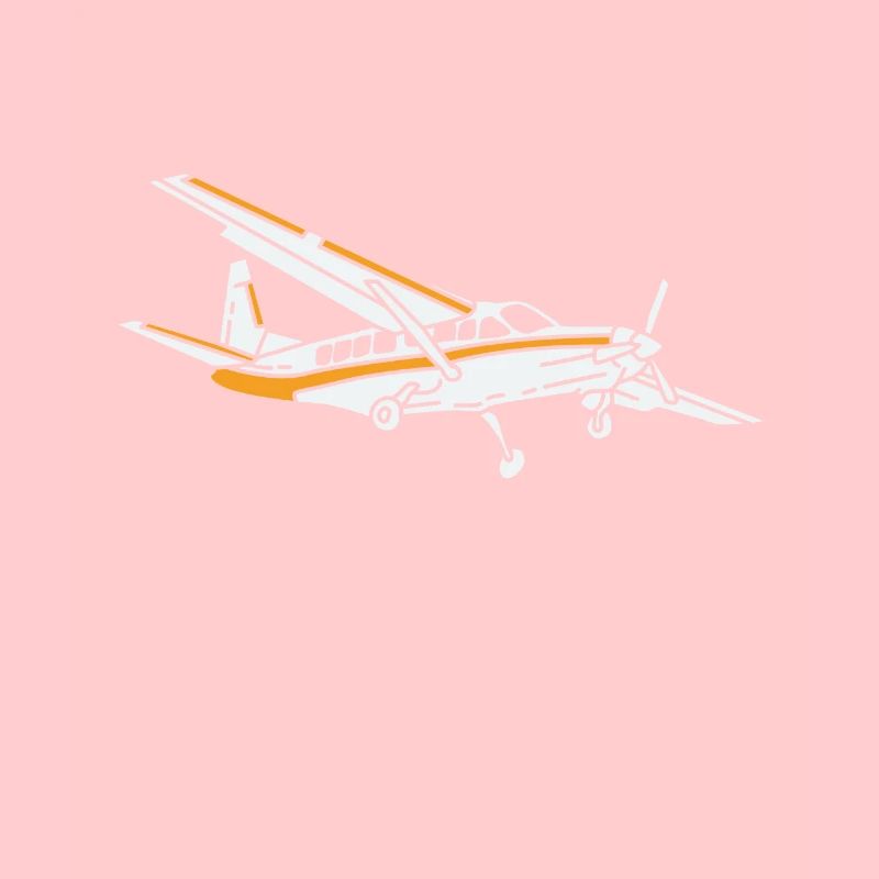 Propeller plane Aviator pilot plane