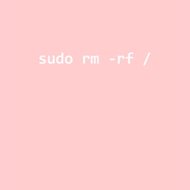 Programmeur Sudo Linux