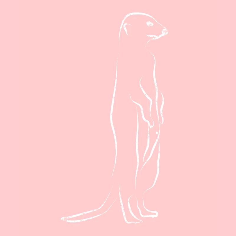 Suricate Animal mignon