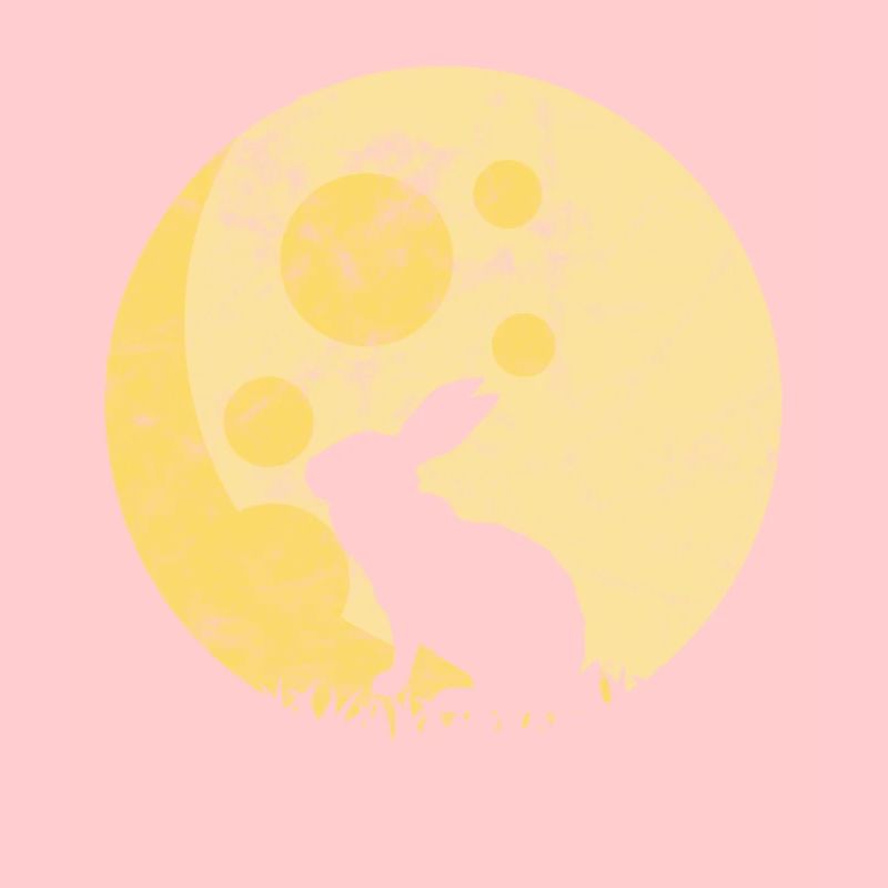 Rabbit rabbit carrot mammal