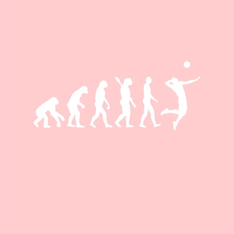 Evolution of Volleyball | Evolution Volleyball