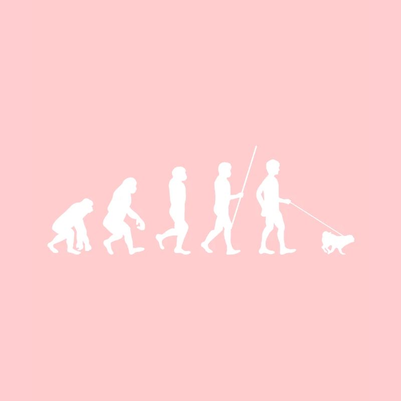 Evolution Pug