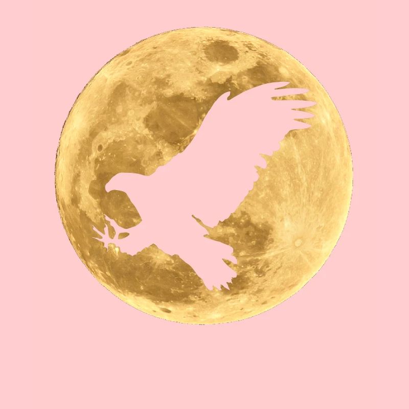 L’aigle dans la lune pleine lune