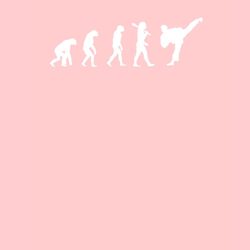 Taekwondo Evolution Fancy Tshirt