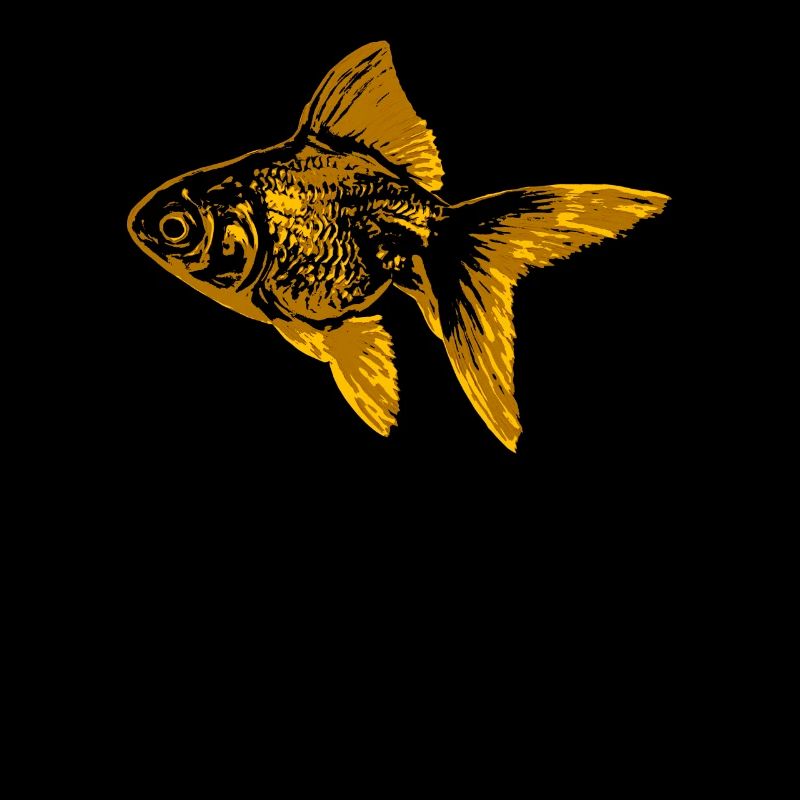 Goldfish Fish Fish