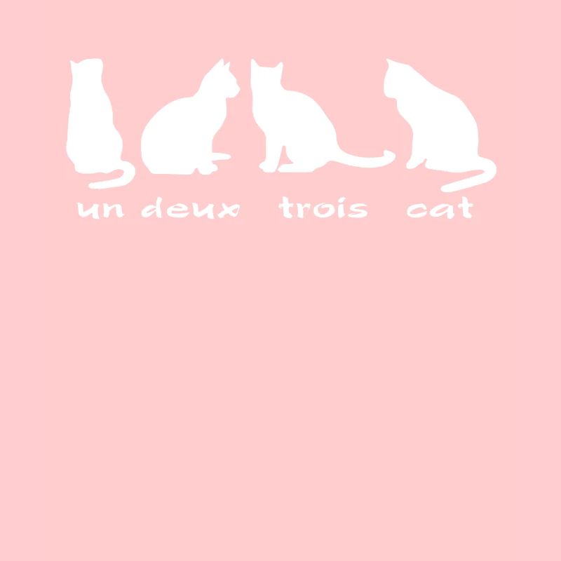 Un Deux Trois Chat Chats