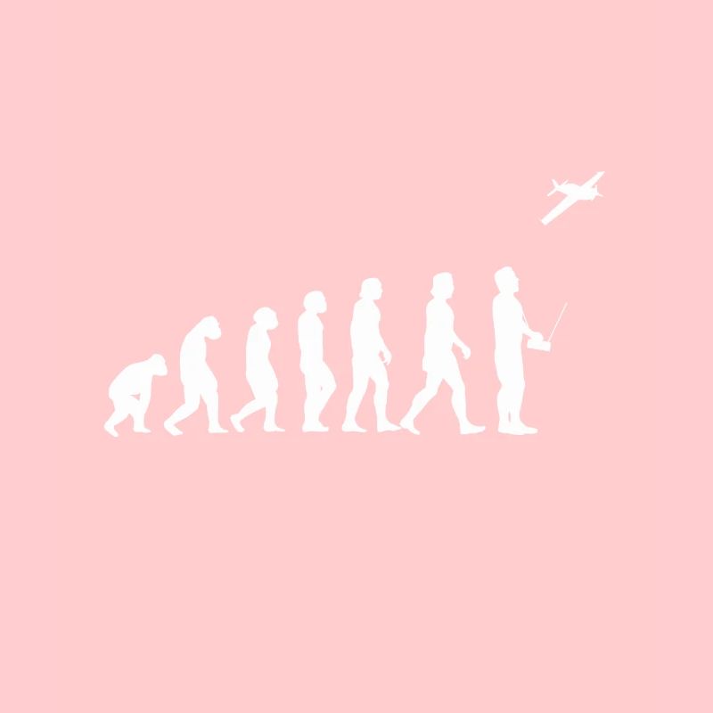 Avion modèle Modellflieger Evolution