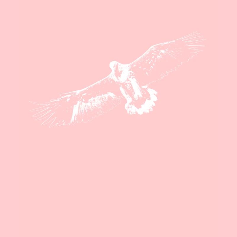 Weißer Adler