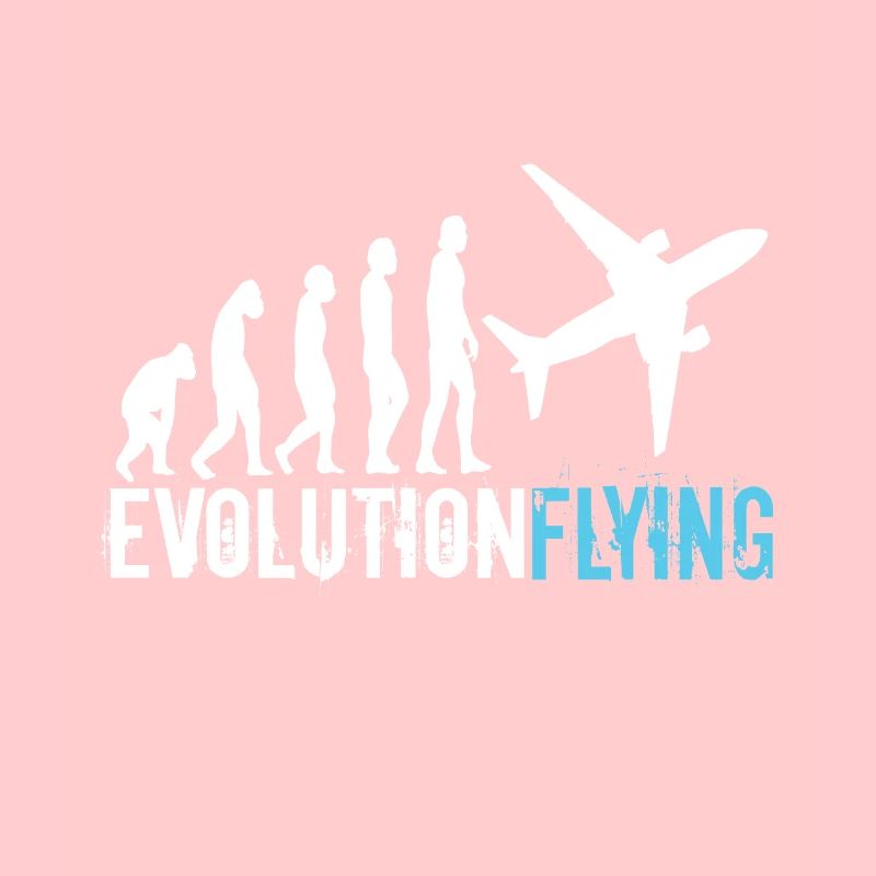 Pilot Evolution Fliegen Flugzeug Flieger Boing