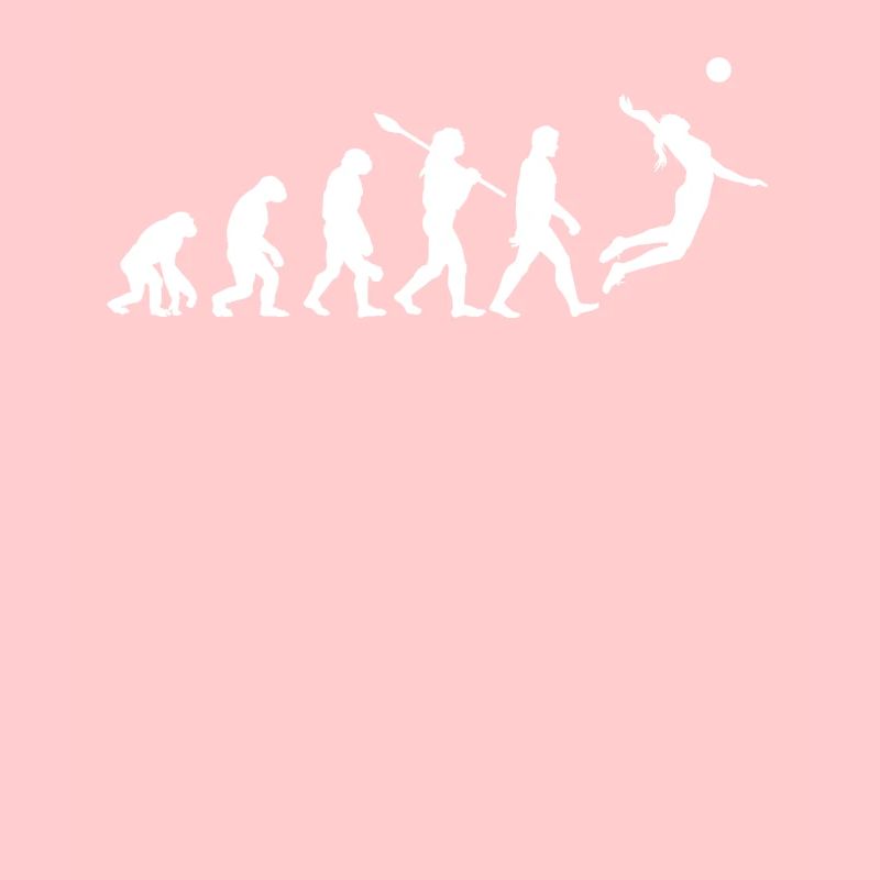 Evolution volleyball