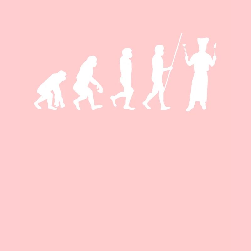 Cook Evolution Koch Köchin Kochen Chef Geschenk