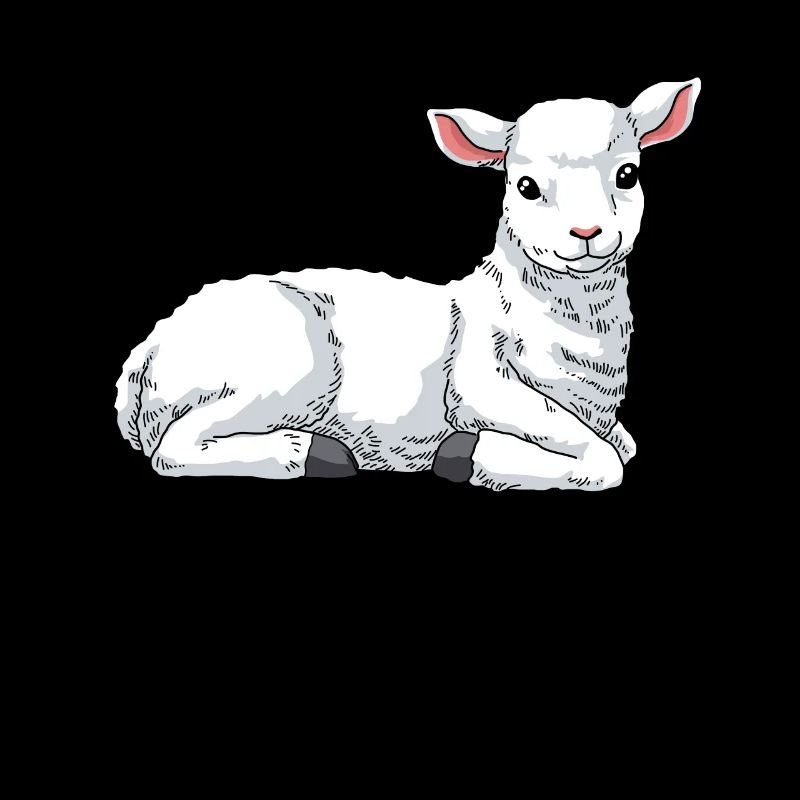 Lamm Schaf Hausschaf