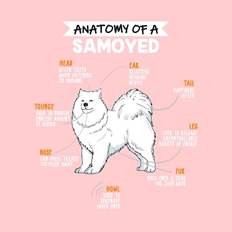 Samojede Anatomie Hunde Geschenk