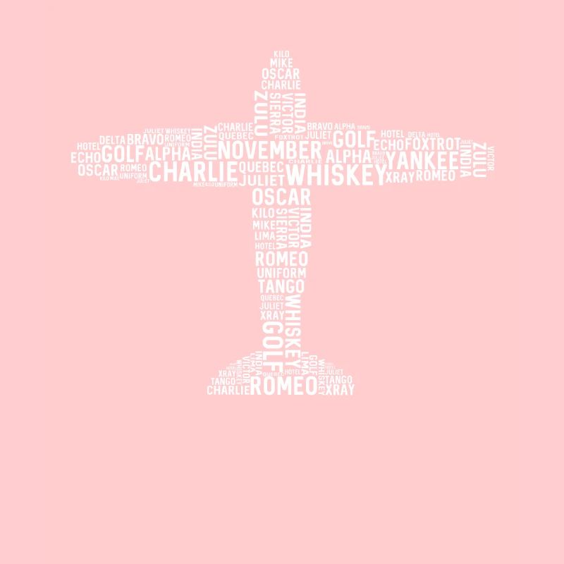 Pilot Piloten Flugzeug