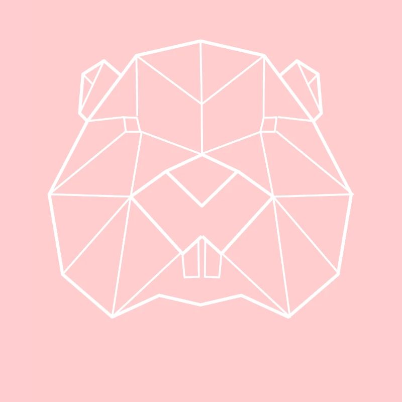 Beaver polygon