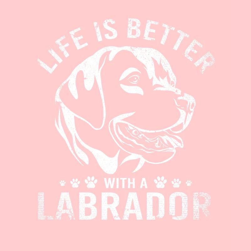 Labrador Hund