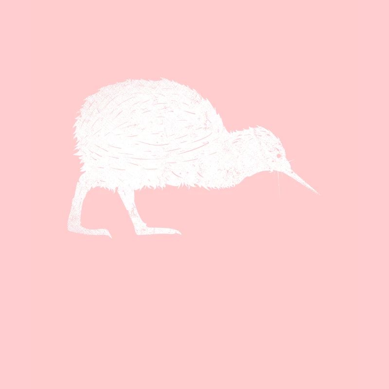 Neuseeland Backpacker