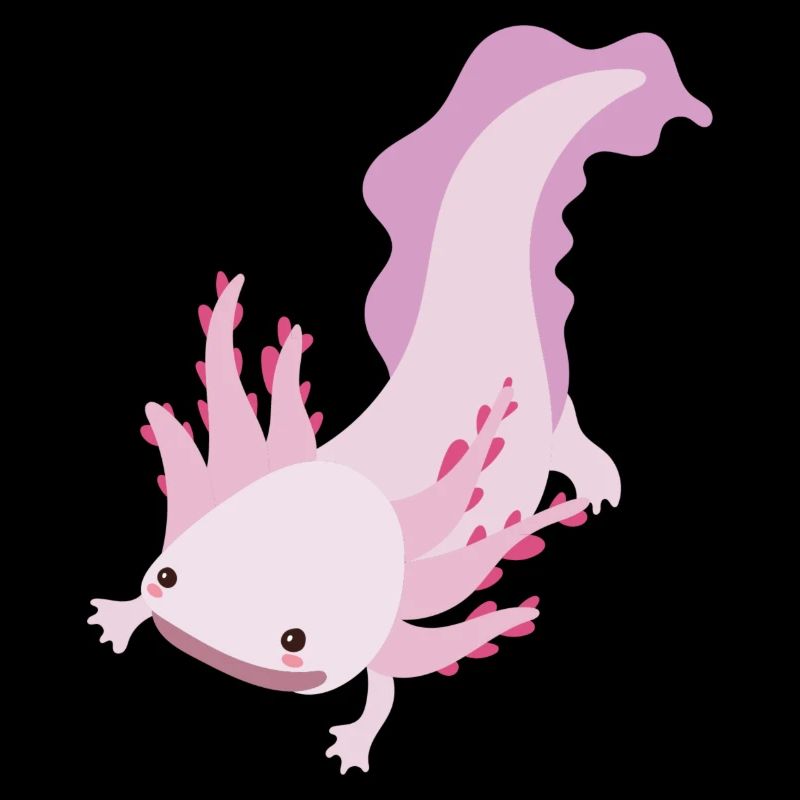 Axolotl