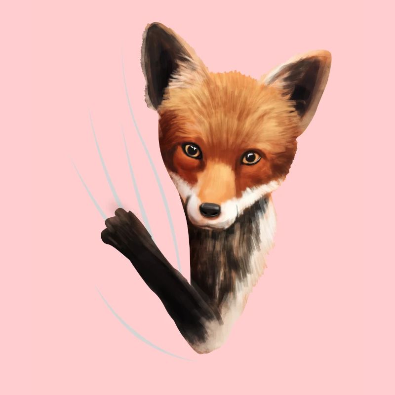 Fox foxes fox lover gift