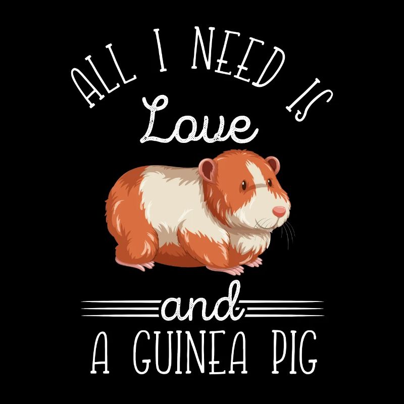 Cochon d'Inde