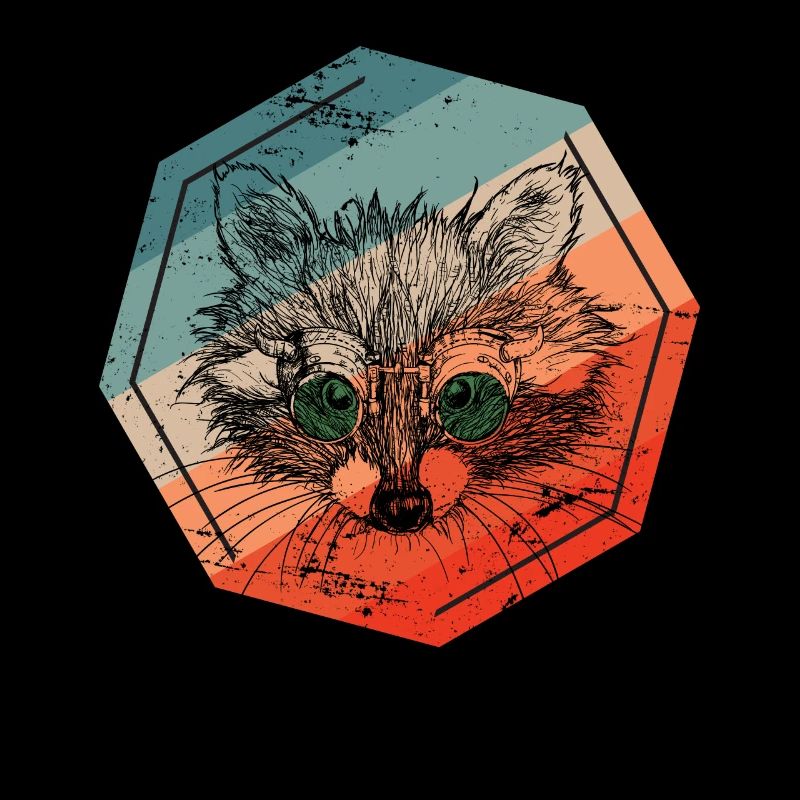 Ours raton laveur