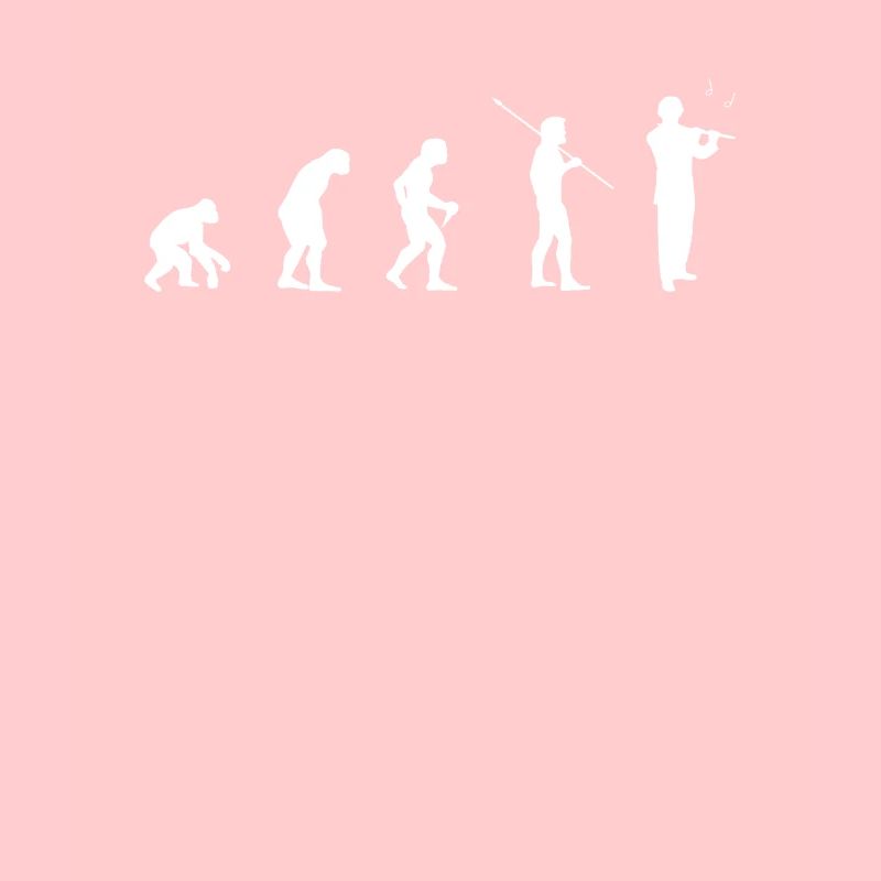 Flöte Flötisten Flötenspieler Evolution Querflöte