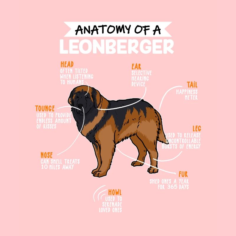 Anatomie des Leonberger Hund Hundebesitzer