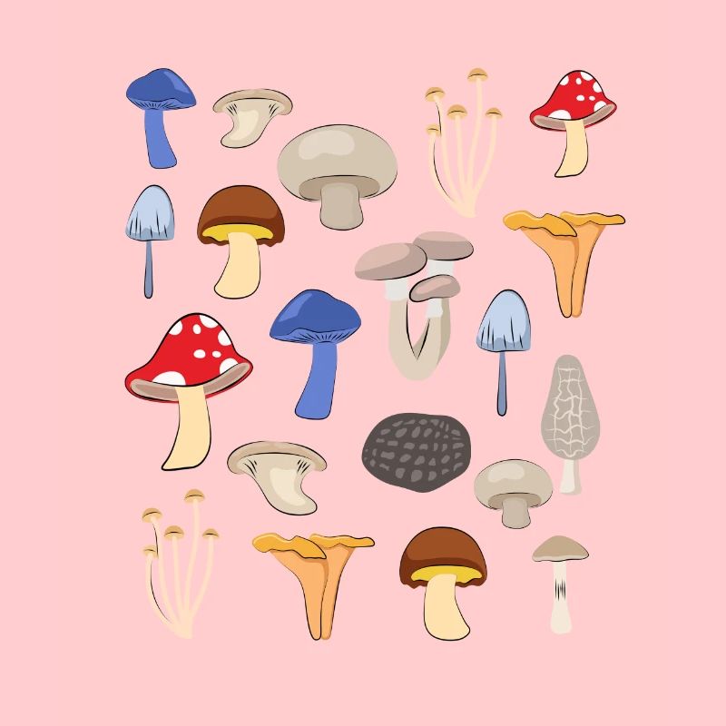 Conception d'espèces de champignons pour un cueilleur de champignons