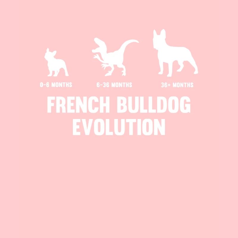 French bulldog evolution for one