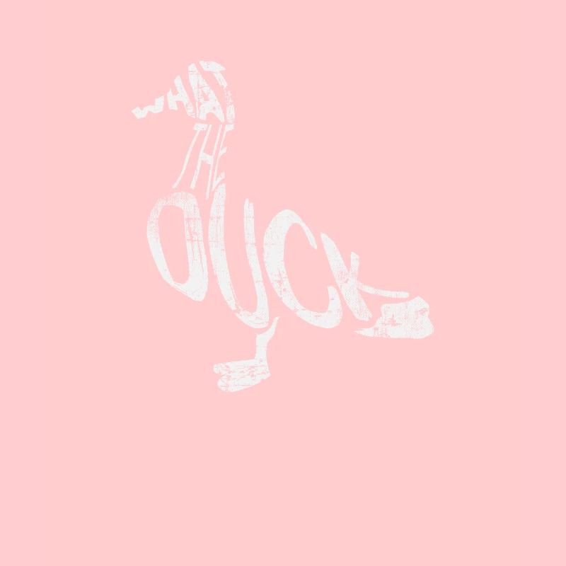 canard