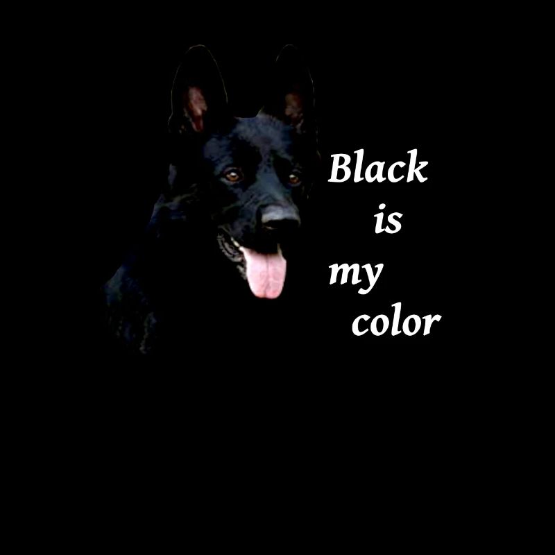 Schäferhund deutscher Schäferhund schwarzer Hund