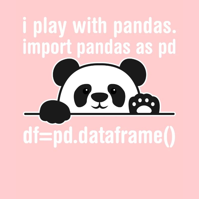Python programmer IT nerd panda programming