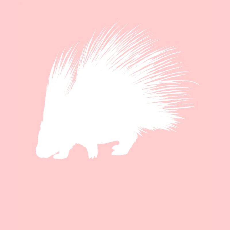 Porcupine