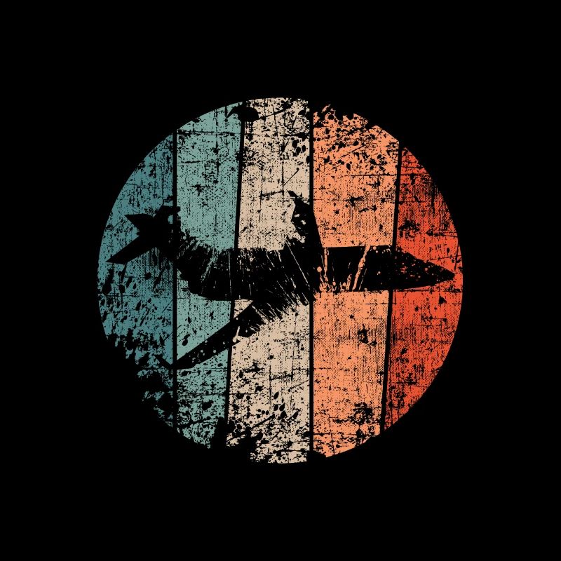 Pilot Flugzeug vintage