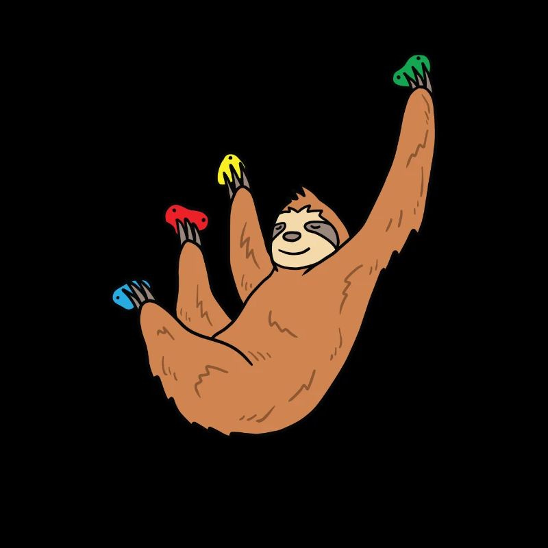 Faultier Boulder Geschenk