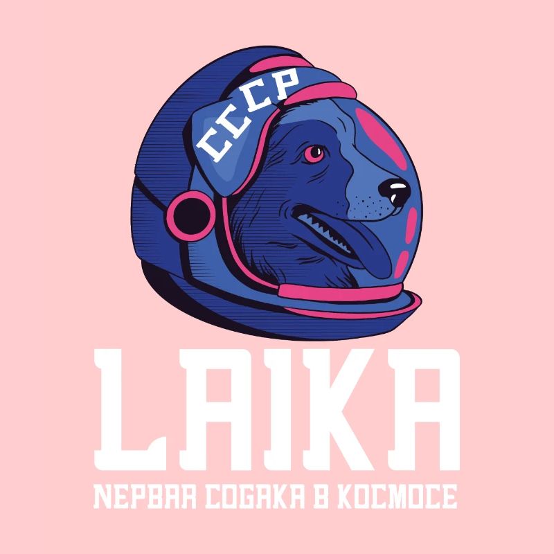 Spoutnik Conception de l’espace