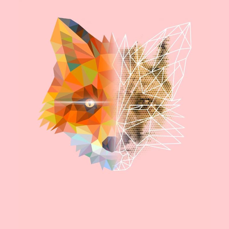 Fox Polygon Geometric Triangle Abstract Design