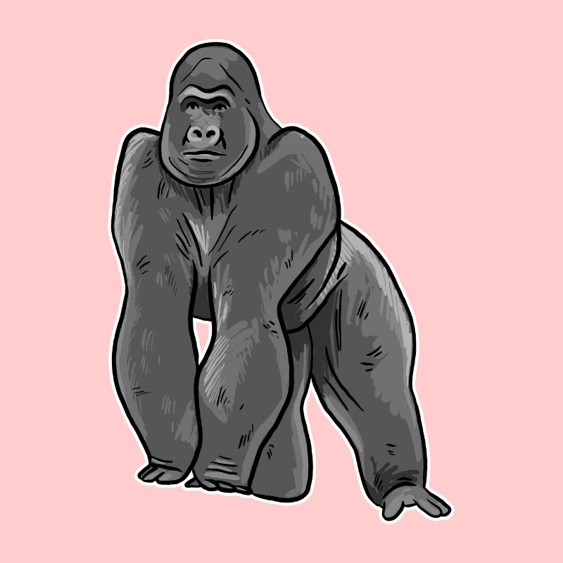 Illustration de gorille