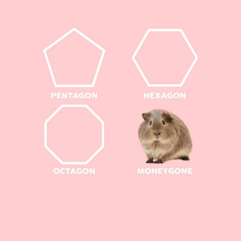 Pentagon Hexagon Octagon Moneygone Hamster