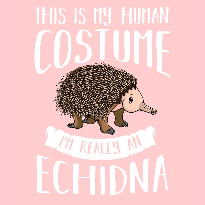 Echidna ameisenigel Schnabeligel Drôle de hérisson