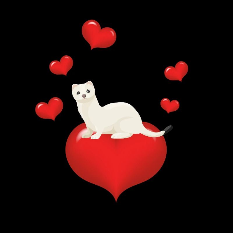 Hermeline et belette