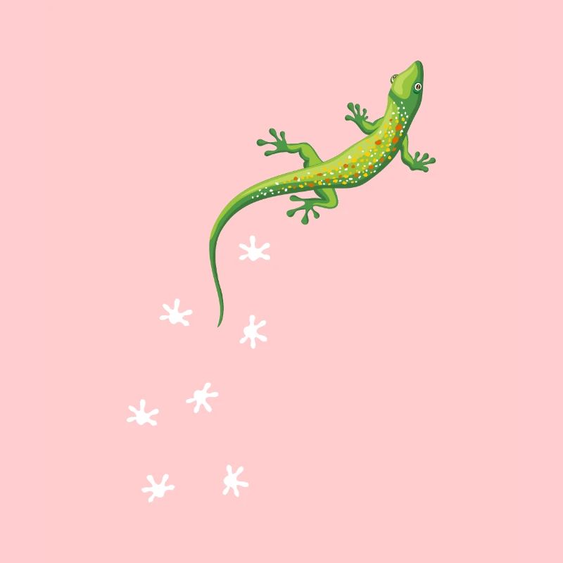 Gecko lizard reptiles Terraristics