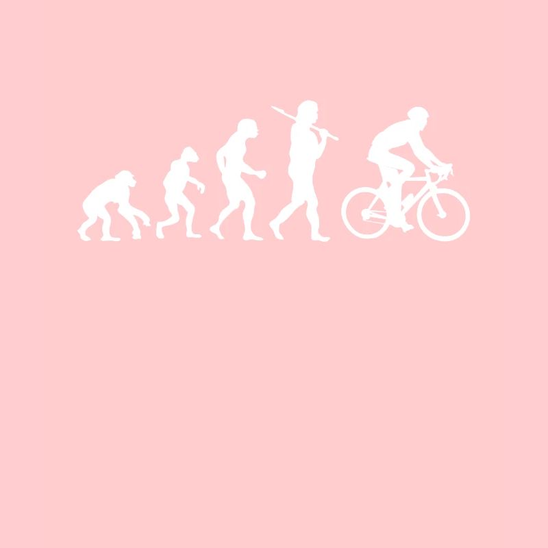 Evolution Fahrrad