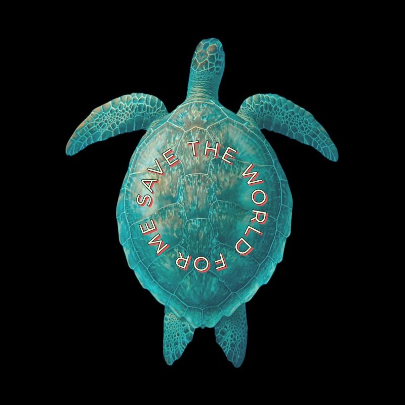 Turtle Climate Human Rights Environment