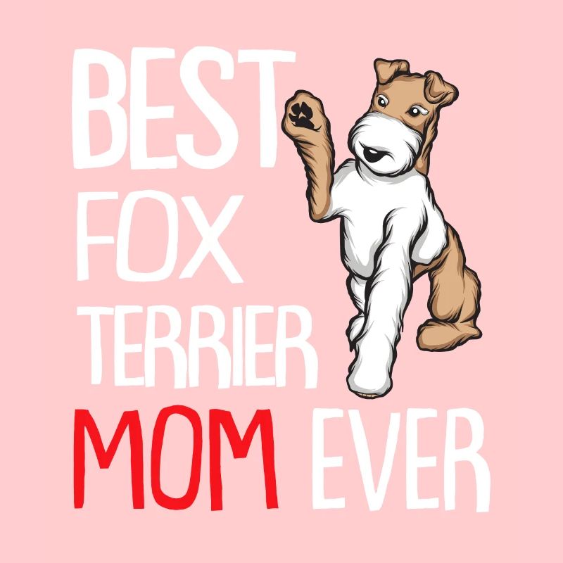 Foxterrier Drahthaar | Foxterrier