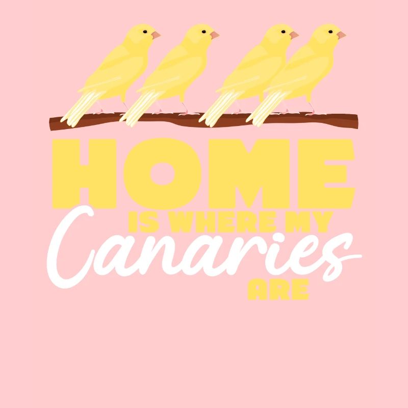 Canari Oiseau Canari Oiseaux canaris