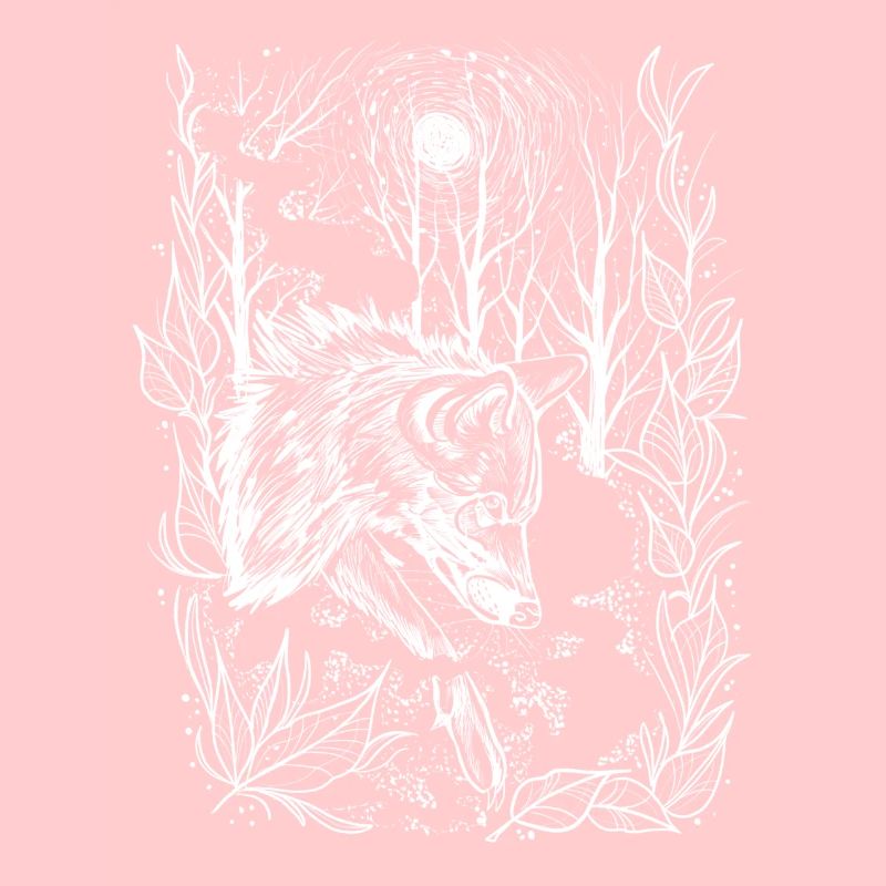 Loup la nuit
