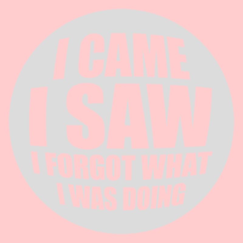 I came saw forget