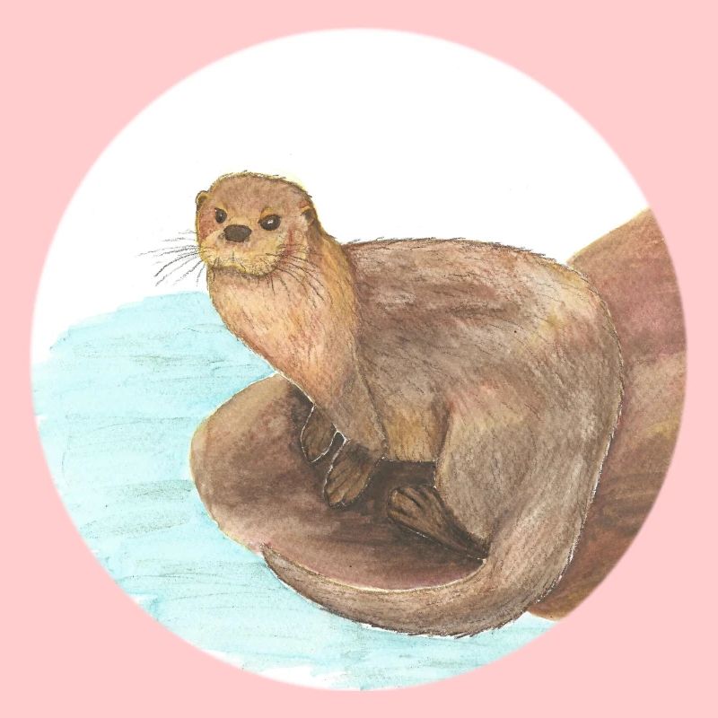 otter 2 04 01 2023