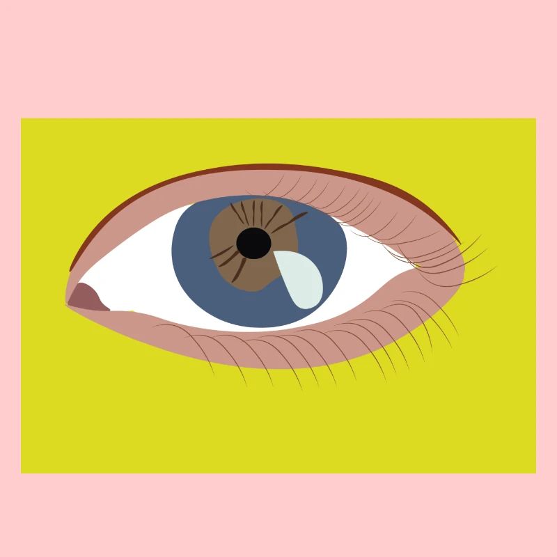 Auge